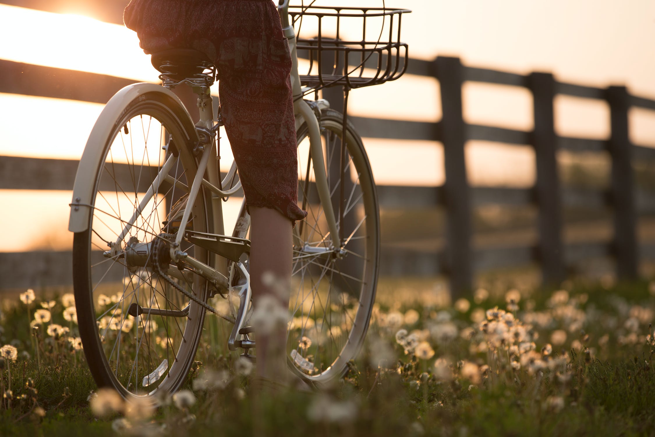 lavanda lush post sobre bike